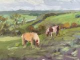 Shetland Ponies on the Hillside