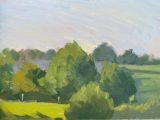 Study, distant trees in evening light
