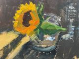 Sunflower, backlit