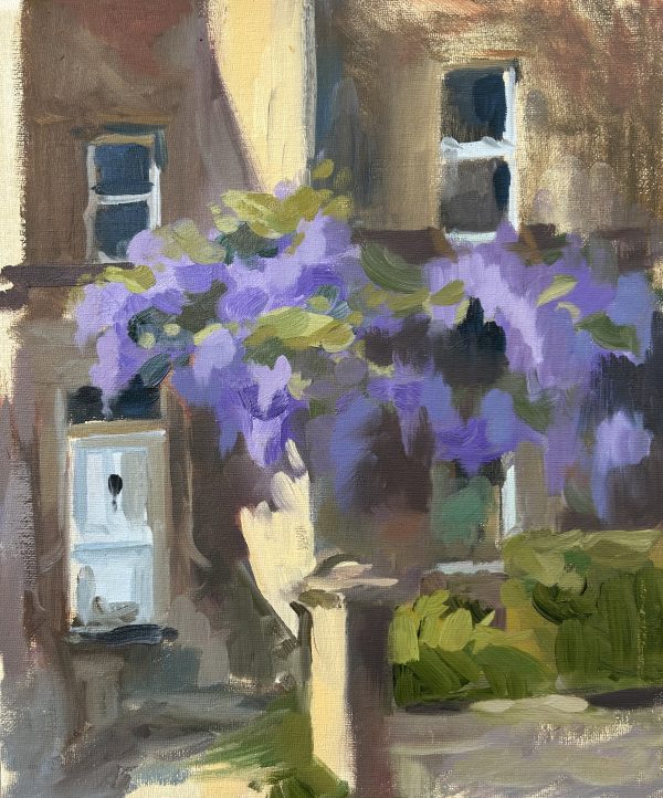 Wisteria in Bloom, Bath