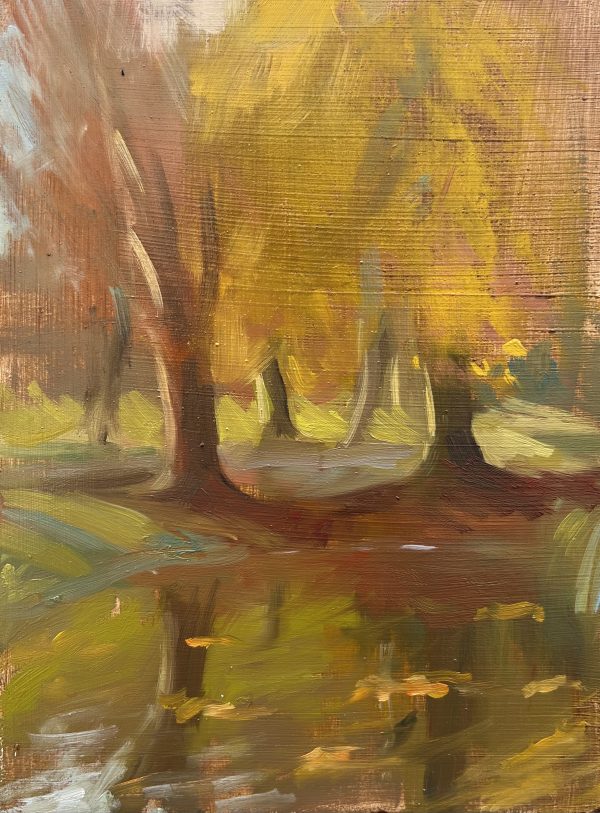 Autumn Colours at Lacock