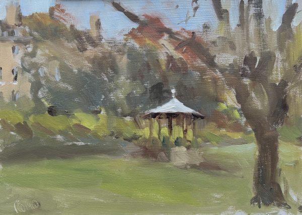 Hedgemead Park, January