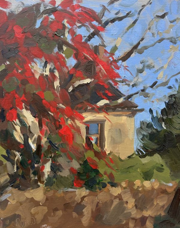 Little House behind the Hawthorne