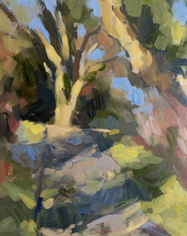 Dappled Morning Light