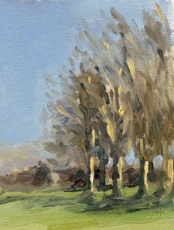 Hilltop trees, Mells (oil sketch)
