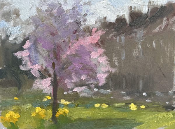Cherry Tree at St James’ Square (oil sketch)