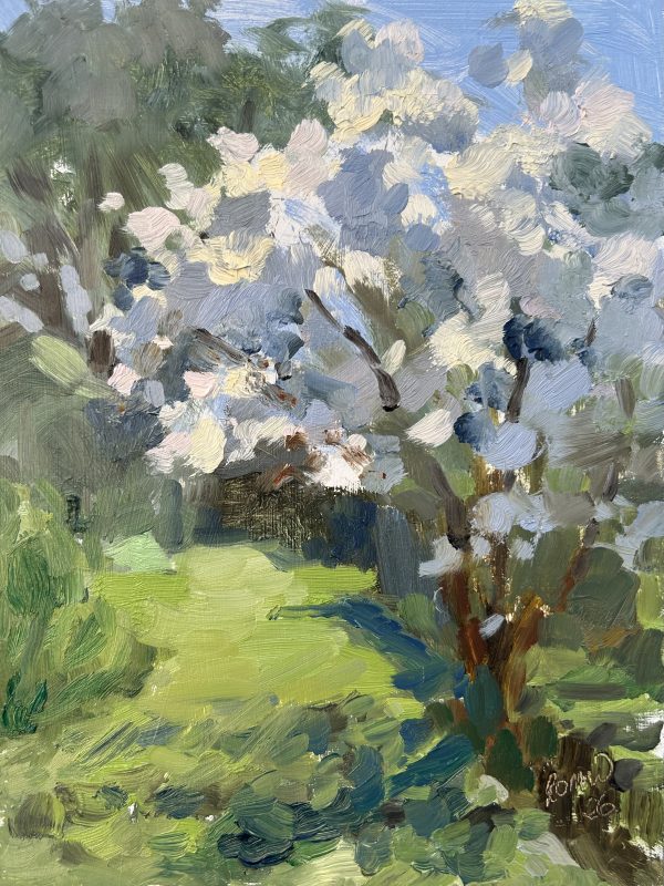 Magnolia Blossom at the Courts Gardens