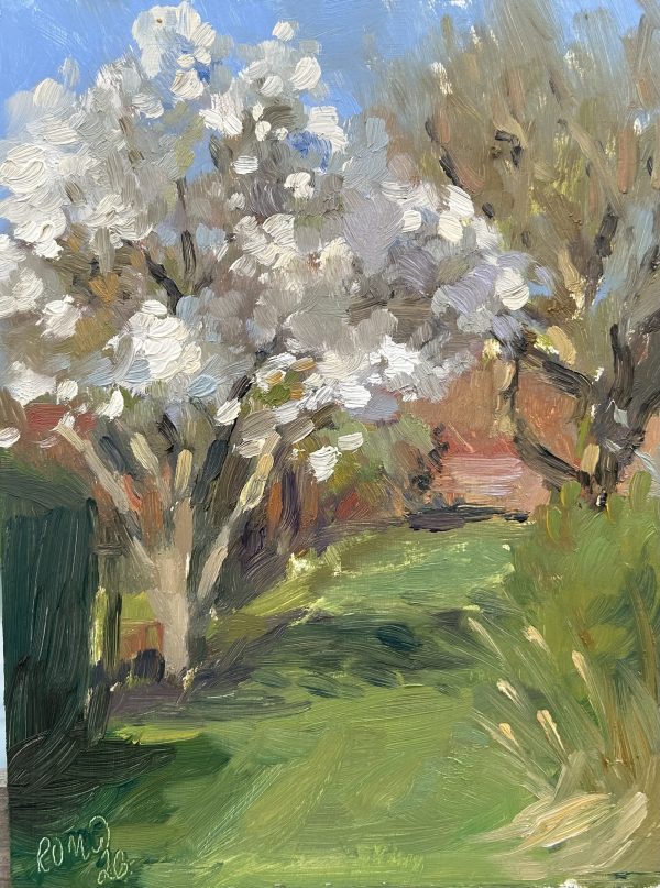 Magnolia Tree at the Courts Garden