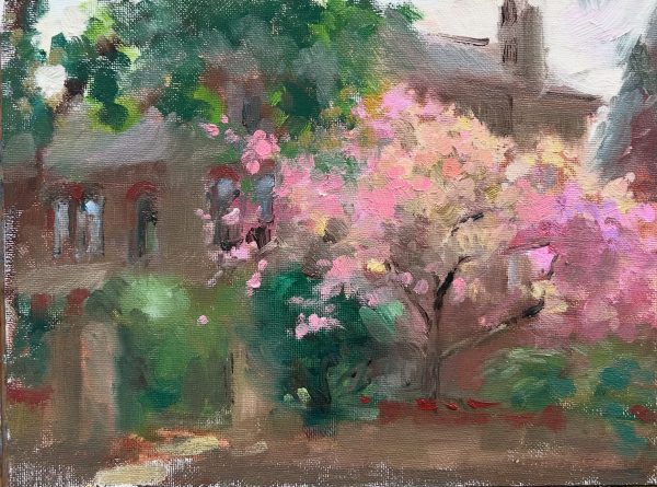 Cherry Tree in Dulwich