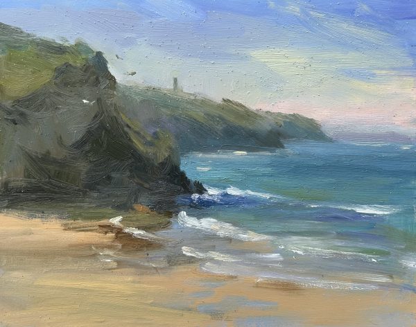 Gulls circling at Porthtowan