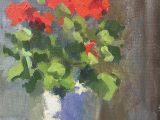 Geraniums in sunny spot