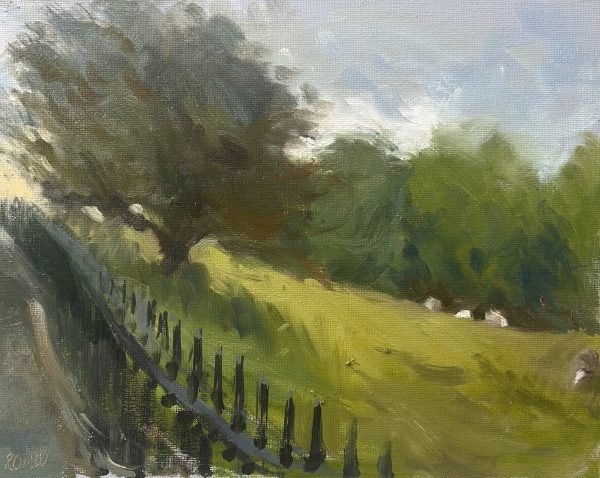 Lansdown Sheep