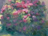 Hydrangea on a Hot June Day