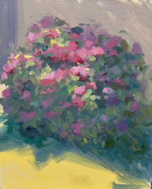 Hydrangea on a Hot June Day