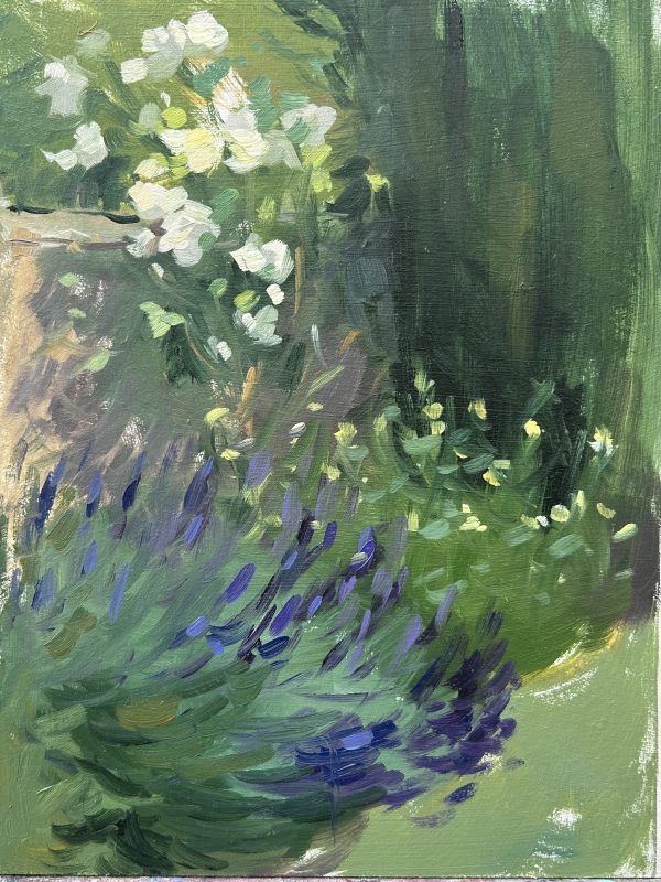 Lavender in the Garden oil sketch