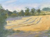 Summer Evening fields (oil sketch)