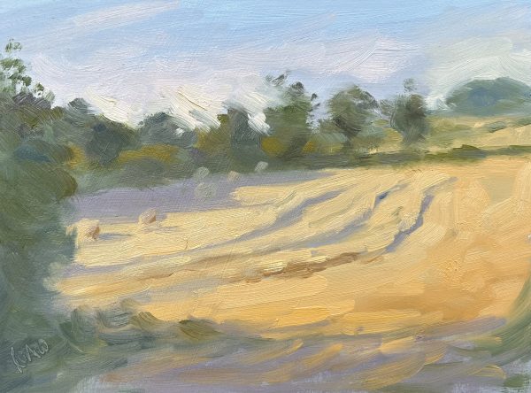 Summer Evening fields (oil sketch)