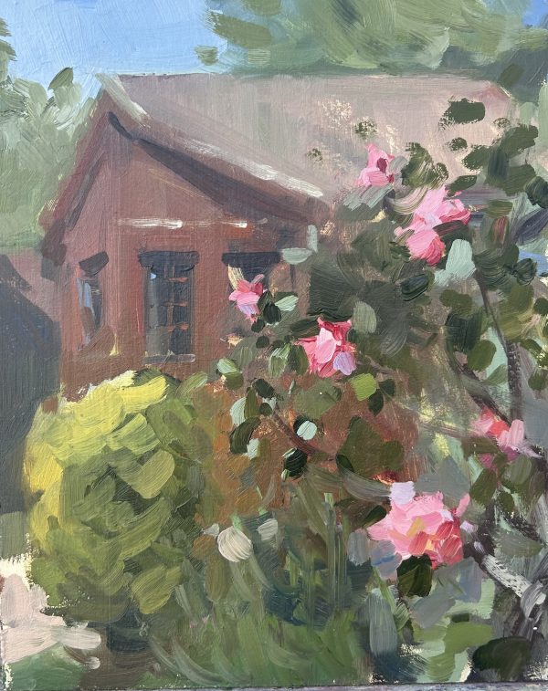 Garden Shed with Roses