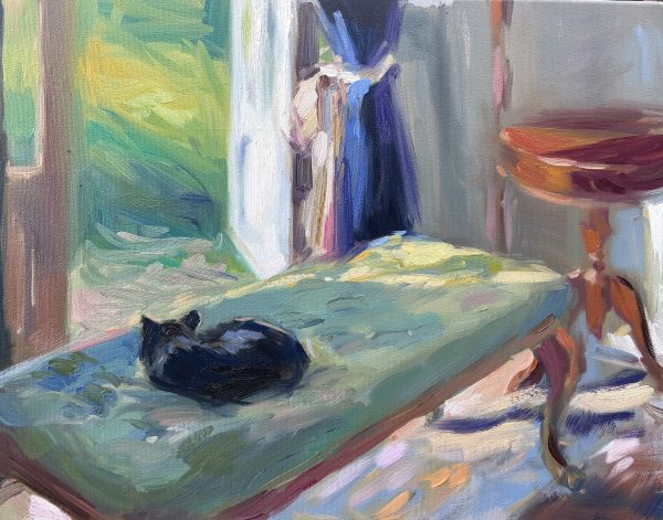 Studio View with Cat